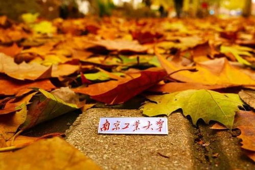 南京工業大學 百廿育才，鑄就科技與產業輝煌——慶祝建校119周年